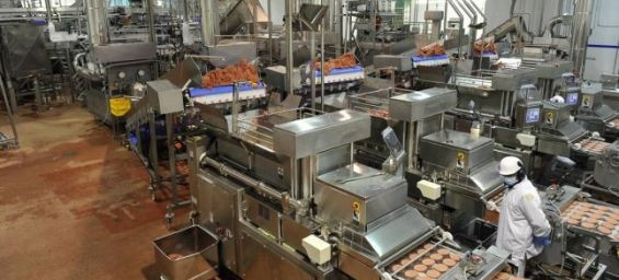 Morocco : Comaner acquires Biomag to become a leader in the agri-food sector