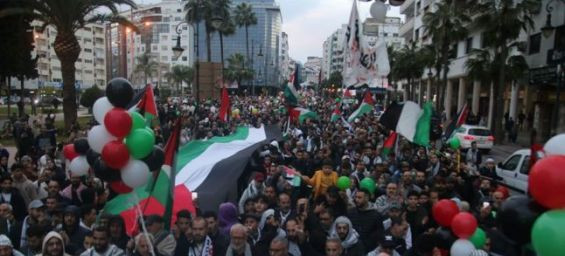 Morocco stages 105 protests against displacement of Gazans