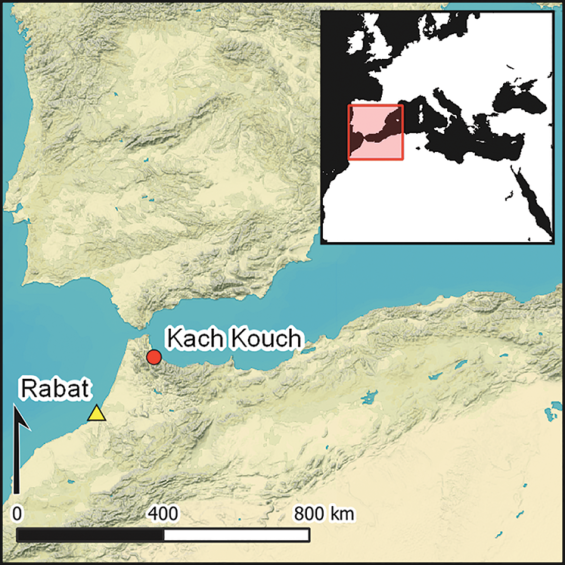 Kach Kouch, the first Bronze Age settlement in the Maghreb before the Phoenicians