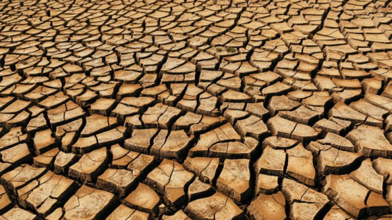 Moroccan experts unite to tackle water scarcity with innovative solutions