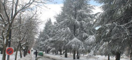 Snow and thunderstorms forecasted for Thursday in Morocco