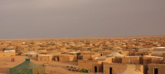 Tindouf : Moroccan opponent seeks to return to the Sahara