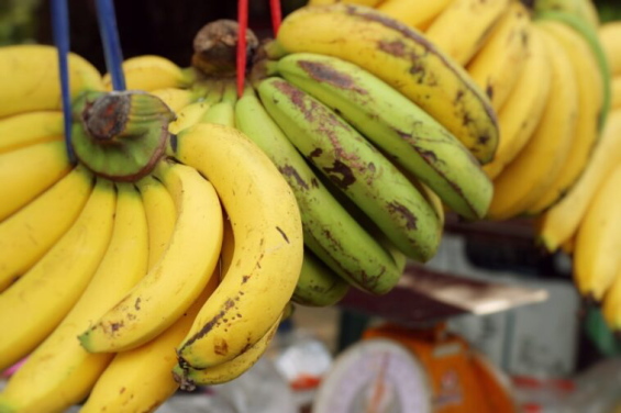 Because of the Polisario, banana prices skyrocket in Algeria