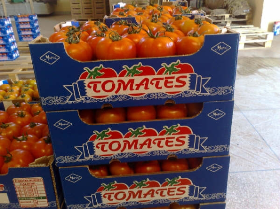 Exportaciones de tomates: La UE desmiente las acusaciones de «fraude fiscal» contra Marruecos