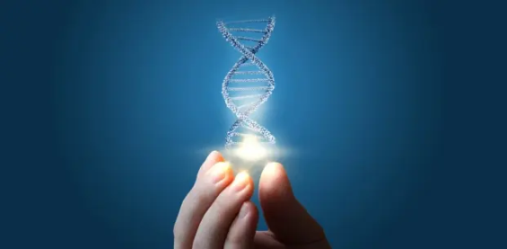 Rabat to host new precision medicine hub, announces FM6SS