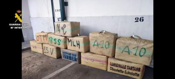 Major drug trafficking network between Morocco and Spain dismantled