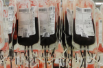 La Covid-19 a entrainé une baisse importante du don de sang au Maroc