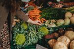 Maroc : Le Conseil de la concurrence étrille le secteur des fruits et légumes