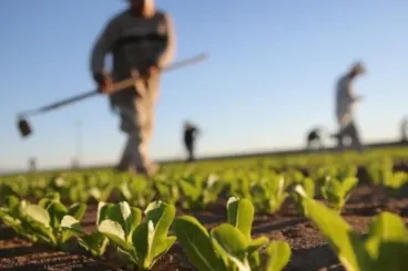 Agriculture : les entreprises françaises veulent renforcer leurs investissements au Maroc