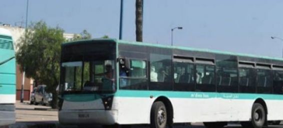 Mdina Bus reacts to the sexual assault video in a statement./Ph. DR