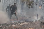 Taounate : Les foyers de feu dans la forêt Khandek Tessyana ont été encerclés