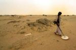 Tindouf : L'armée algérienne tue trois orpailleurs sahraouis