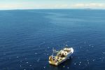 Une organisation pointe la présence de bateaux marocains pêchant dans les eaux espagnoles
