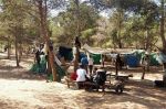 Maroc : Dans la région de Nador, les migrants victimes de 340 bavures en 2018