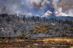 Maroc : 5 300 hectares concernés par les feux de forêts à Larache, des douars vidés à Tétouan