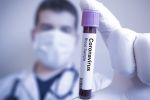 Les anticorps liés au coronavirus ne restent dans le corps que quelques mois, selon une étude
