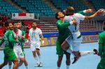 Handball : Le Maroc dispose du Cap Vert et s'approche de la qualification pour le Mondial
