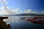Nomad #60 : La lagune de Marchica, havre de paix pour les Nadoris