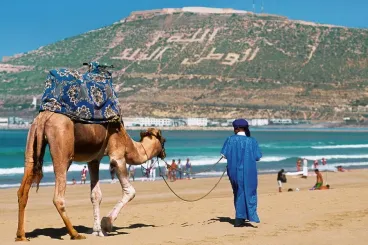 قطاع السياحة بالمغرب يواصل نموه خلال الفصل الأول من 2025 