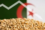 Boycott du blé français : L'Algérie nuance mais ne dément pas