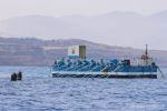 OOS Aquaculture Morocco installe une ferme de moules semi-submersible au large de Ras El Ma