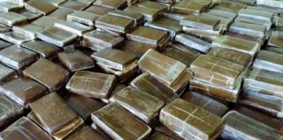 700 kilograms of Moroccan hashish seized in Italy