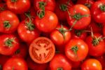 Plus de 45% des importations espagnoles en tomates sont du Maroc