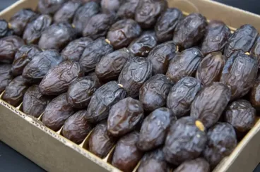 Morocco's date exports to Germany hit record high