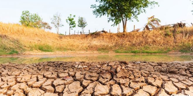 Morocco is in the red zone among the countries hardest hit by the drought