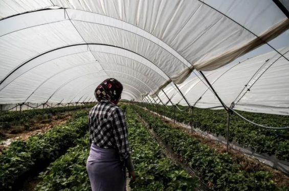 Hiba, a Moroccan worker and mother who claims being sexually assaulted by her supervisor./Ph. Buzzfeed news