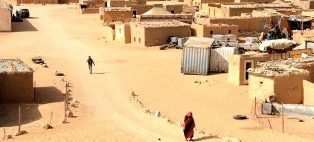 The Polisario Front is suing Transavia./Ph. DR