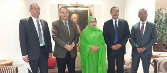 The delegation sent by the Polisario to attend the Geneva round-table alongside Morocco, Mauritania and Algeria./Ph. DR