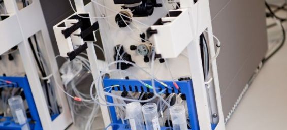 Ablynx was founded in 2001 by former students of the ULB University after they discovered that the properties of Moroccan camels antibodies had applications on humans. /Ph: Adlynx