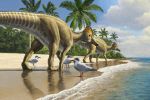 De l'Amérique au Maroc : Sur les traces du dinosaure à bec de canard, Ajnabia odysseus