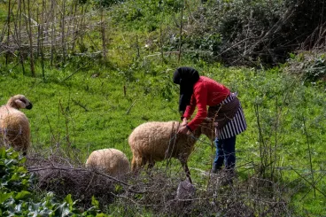AfDB approves €100 million loan to support women and youth in Moroccan agriculture
