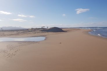 Maroc : Symptomatique de la surexploitation, l’embouchure de l’Oued Moulouya s’assèche