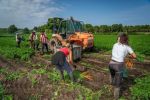 Maroc - France : Une convention dans l'agriculture pour le recrutement de saisonniers