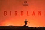 «Birdland» de la Marocaine Leila Kilani en sélection officielle au festival de Rotterdam