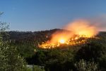 Chichaoua : Un incendie maîtrisé à la forêt Ouirman