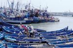 Maroc : Des pêcheurs de Dakhla entament une grève ouverte de la faim