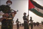 Après une semaine de suspension, le Polisario reprend ses communiqués de «guerre»