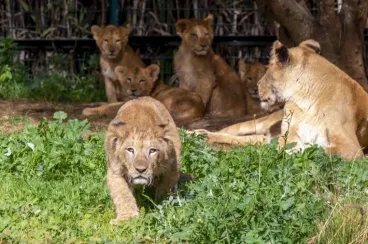 Three wildlife parks to visit in Morocco this summer
