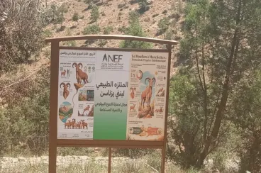 Oriental : L’ANEF renforce la restauration de la faune sauvage et valorise les aires protégées