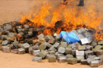 Ouarzazate : 7 tonnes de drogues partent en fumée