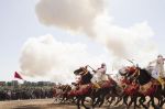 Tbourida : Un cavalier blessé sauvé par une touriste israélienne