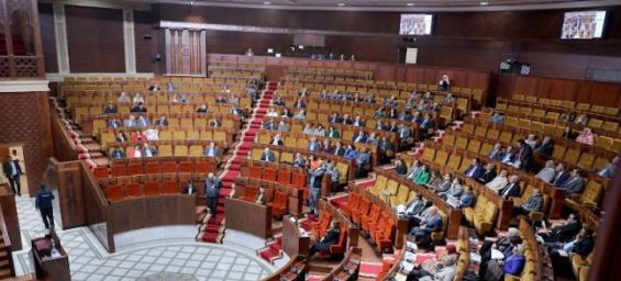 Moroccan parties call for probe into government support for livestock imports