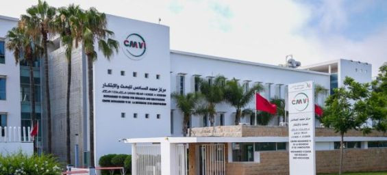 Morocco unveils groundbreaking results from the Moroccan Genome Project