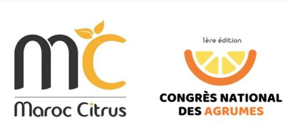 Moroccan citrus industry gathers in Marrakech for pioneering National Congress