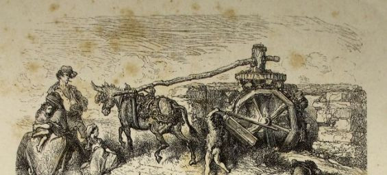 Historia: El agua, un componente vital en la organización social de Al-Ándalus