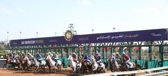 UAE Moroccan Festival debuts in Casablanca : A new milestone in international horse racing